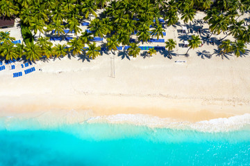 Aerial drone view of beautiful caribbean tropical island beach with palms. Saona, Dominican Republic. Vacation background.