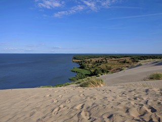 Coastline of the Curonian Spit viewed from the Grey Dunes