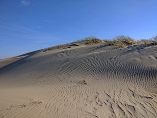 White sand dune, dry grass and blue sky