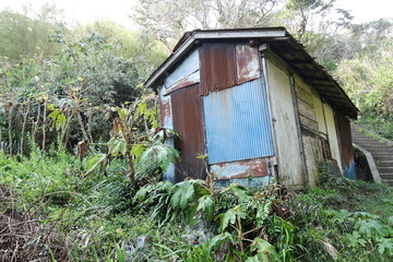 山林の中の廃屋　イメージ　abandoned  house in the forest