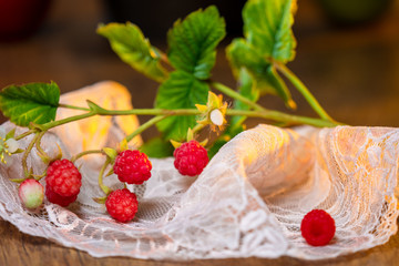 Raspberry branch with berries of different maturity. Juicy raspberries on the lace. Country still life. Harvest of berries. Raspberry berries illuminated by the sun.