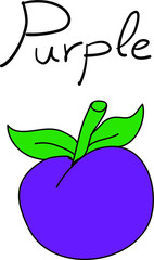drawing purple fruit with green leaves. Plum