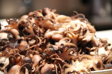poulpe