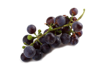 Black wine grape