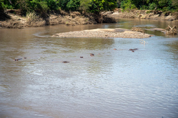 Serengheti National Park
