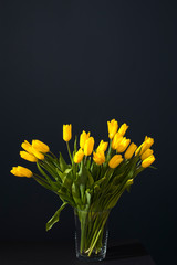 bouquet of yellow tulips is on the table opposite dark blue wall