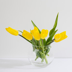 bouquet of yellow tulips is on the table opposite white wall.
