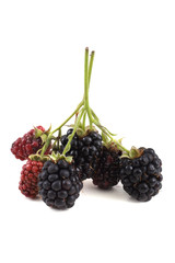 Blackberries