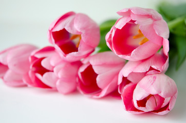 Obraz premium Bouquet of pink tulips close up. Flowers