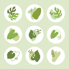 Vector set of 9 highlight covers. Abstract backgrounds. Various tropical leaves, shapes, lines, spots. Round icons for social media stories. Perfect for bloggers,  plants shop, ecological design, tag