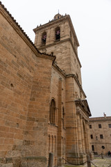 Fototapeta premium CATEDRAL CIUDAD RODRIGO DETALLES 2018