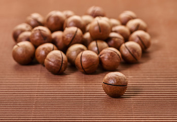 fresh macadam nut close-up