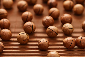 fresh macadam nut