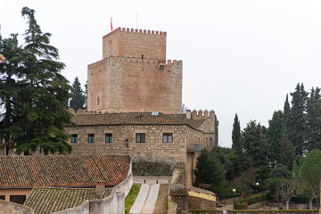 CIUDAD RODRIGO DETALLES MURALLA ADARVE 2018