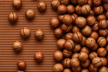 fresh macadam nut