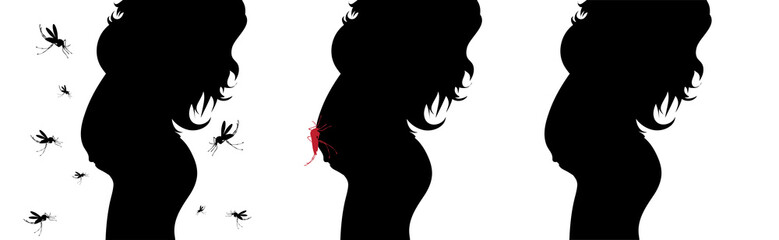Set of vector silhouette of pregnant woman with danger of Zika virus on white background. Symbol of maternity and prevention illness..