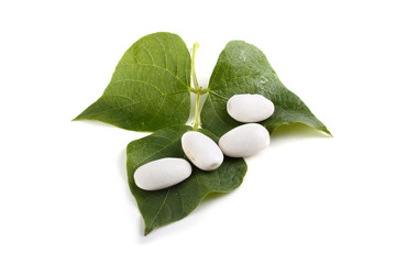 Beans and leaves