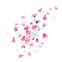 Flowers watercolor illustration.Manual composition.Big Set watercolor elements，Design for textile, wallpapers，Element for design,Greeting card