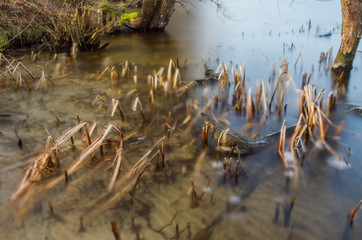 Lake in early spring - long exposure