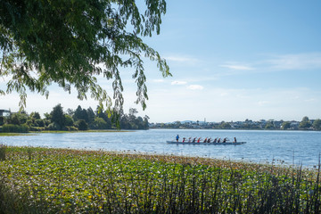 landscape with lake and trees