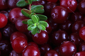 Cranberry background