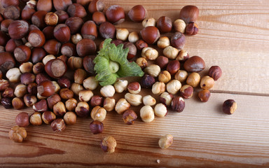 Hazelnuts on table