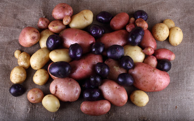 Potatoes on bagging