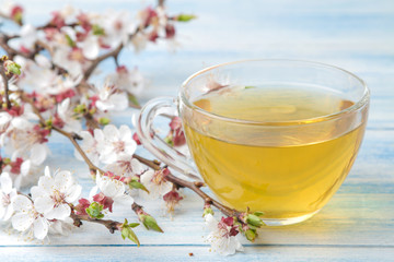 Flowering branch. Spring flowers and cup of tea on a blue wooden background