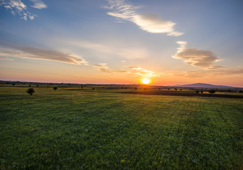 sunset at the green fields