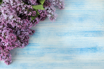 Spring flowers. Frame of twigs of blooming lilac on a blue wooden table. top view. place for text