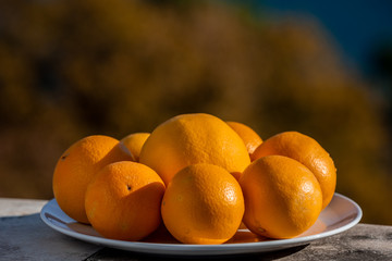Still life eight oranges on white plate with water spraying on sunlight, selective focus on front row of oranges, blurred trees on background