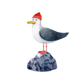 Cute seagull in red fishing hat on the stone. Hand drawn animal character, watercolor illustration isolated on white background. Clipart for clothes, stickers, baby shower, cards, fabrics.