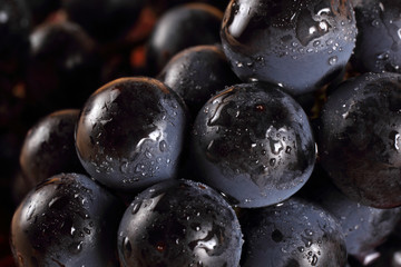 Grape background