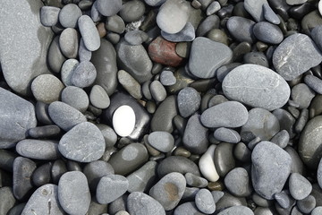 Weißer Stein unter grauen Steinen am Strand