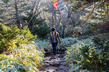 Person Hiking on Hallasan Mountain on Jeju Island. Lady Climbing Up on the Hill.