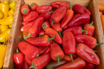 Red peppers at an agricultural exhibition