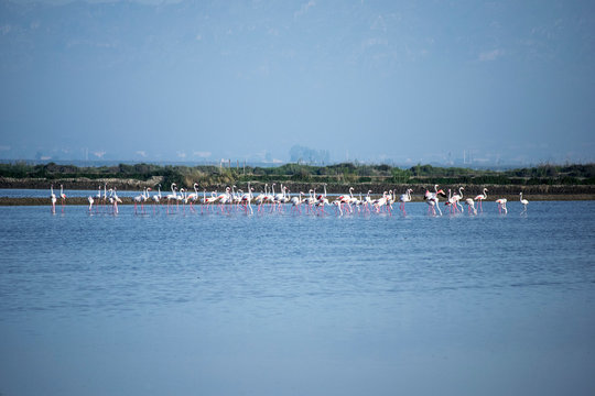Delta del Ebro