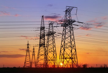 power line on the field / sunset time industrial power poles