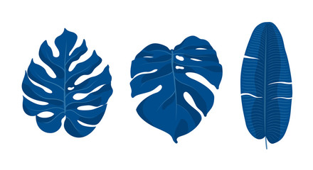 Set of tropical leaves in classic blue color isolated on white background. Color of Year 2020