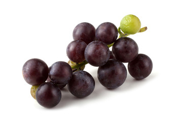 Black grape