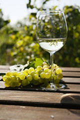 Vino blanco