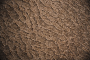 Footprints on the sand at the beach summer 