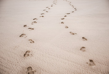 Footprints on the sand at the beach summer  © ramoshots