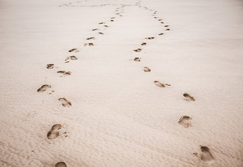 Footprints on the sand at the beach summer  © ramoshots