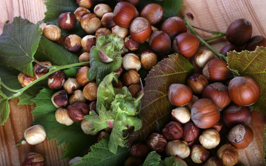 Hazelnuts on table