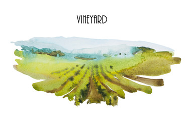 Watercolor landscape with green wineyards and blue mountains. Original backdrop illustration of vineyards - obrazy, fototapety, plakaty
