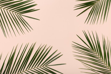 Green tropical palm leaves pattern isolated on pink