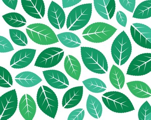 mint leaf illustration vector template