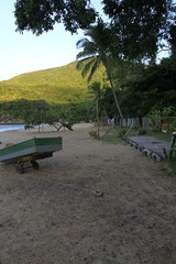 Obraz premium NATURE