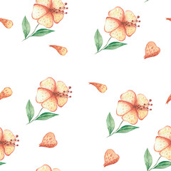 watercolor flowers with fallen petals on a white background for your super backgrounds